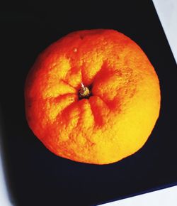 High angle view of orange pumpkin against black background