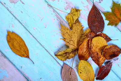 Close-up of autumn leaves on wood