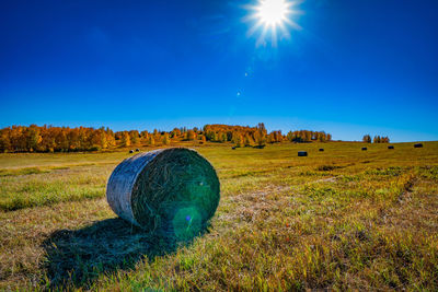 Scenic view of field against clear blue sky