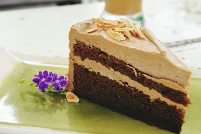 Close-up of cake in plate