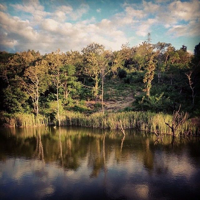 tree, water, tranquility, tranquil scene, sky, reflection, lake, scenics, waterfront, beauty in nature, cloud - sky, nature, cloud, idyllic, cloudy, growth, non-urban scene, calm, outdoors, day