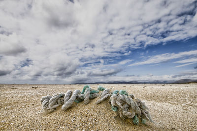 Beach scotland hebrides