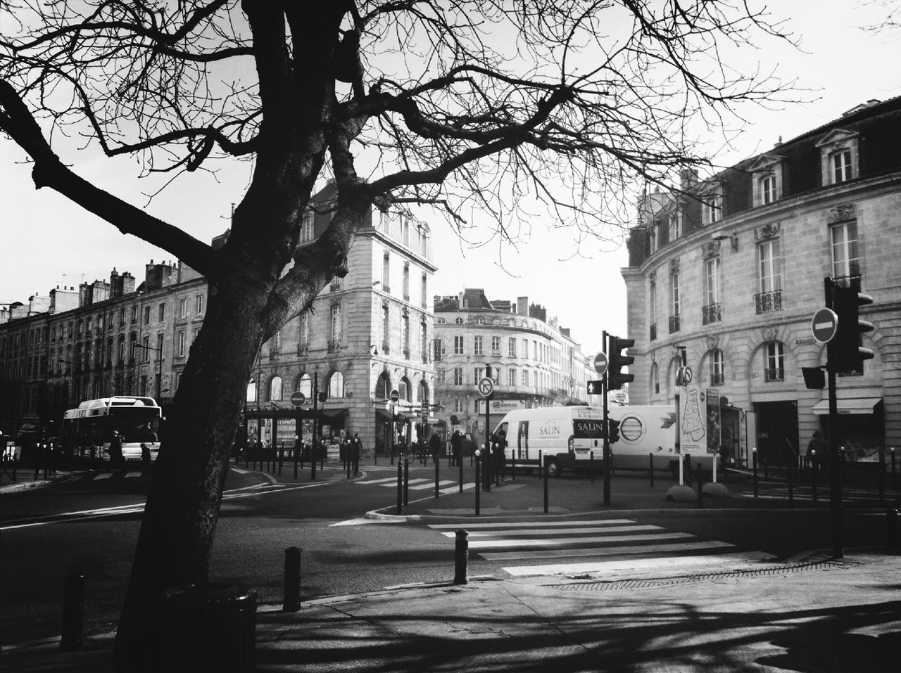 building exterior, architecture, built structure, city, tree, bare tree, building, sky, residential building, branch, street, residential structure, city life, incidental people, day, outdoors, tree trunk, clear sky, residential district, shadow