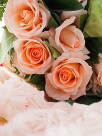 High angle view of rose bouquet