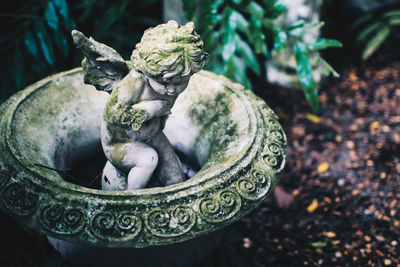 Close-up of angel statue in garden