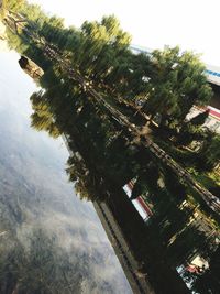 Reflection of tree in lake against sky