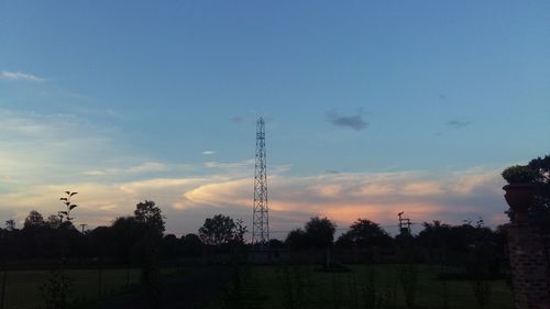 Silhouette of trees at sunset