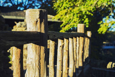 Close-up of wooden fence against trees