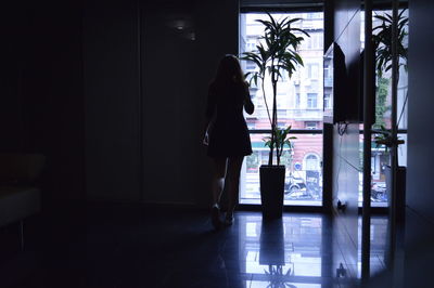 Rear view of woman standing by window