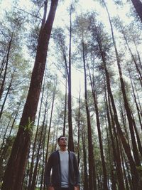 Low angle view of man standing by trees in forest