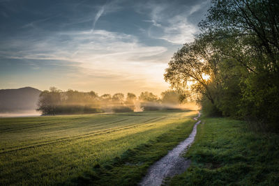 Scenic view of field against sky during sunset