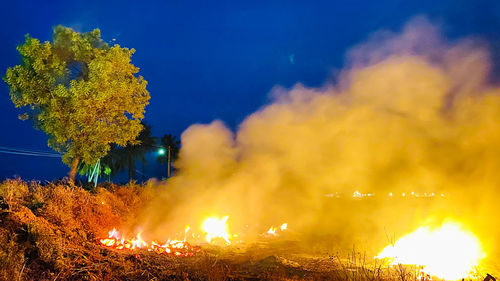 Panoramic view of illuminated trees against forest fire