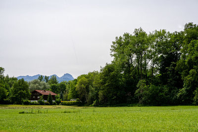 Scenic view of trees on field against sky