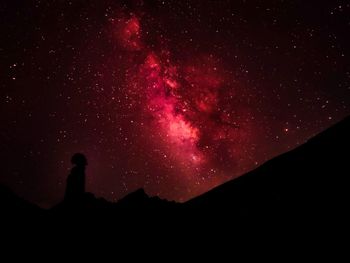 Low angle view of silhouette stars against sky at night
