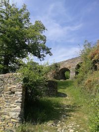 Trees on landscape against sky