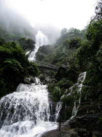 Scenic view of waterfall in forest