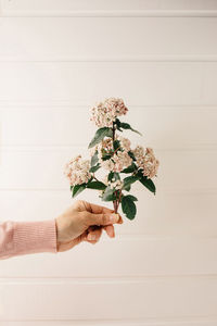 Low angle view of woman hand against white wall