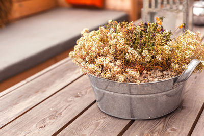 Close-up of potted plant on table