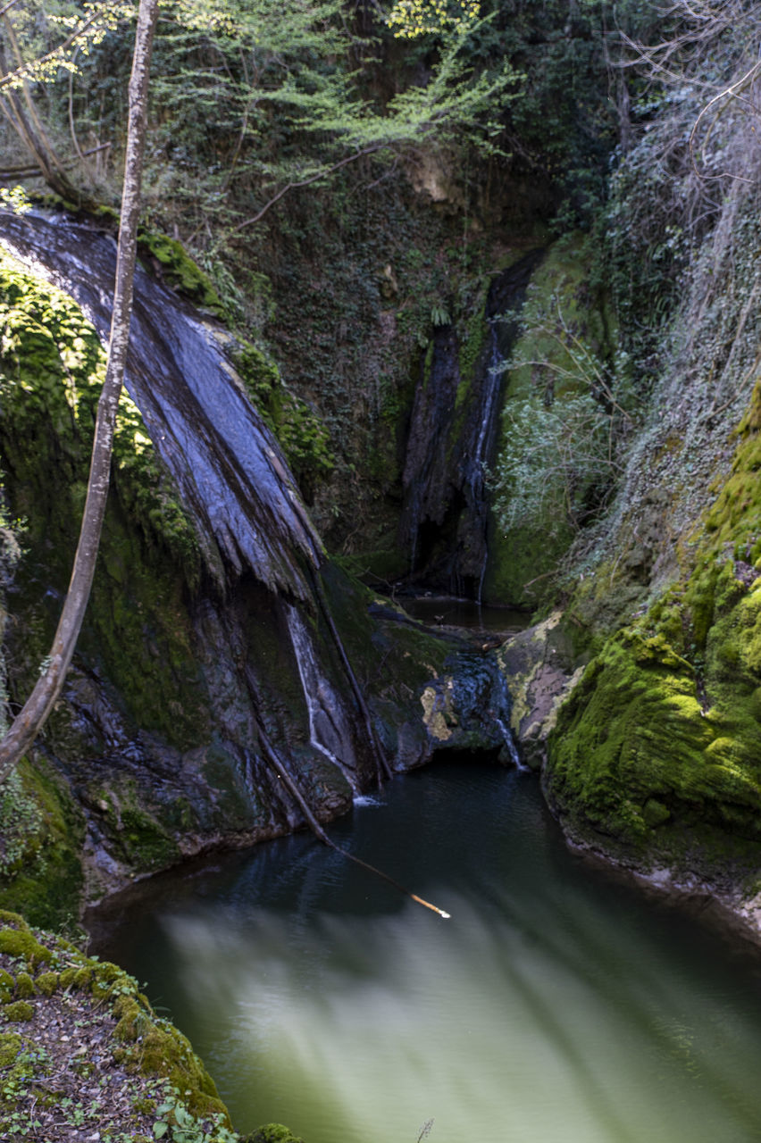 water, beauty in nature, nature, scenics - nature, forest, tree, land, river, environment, plant, rock, stream, no people, water feature, waterfall, non-urban scene, body of water, ravine, landscape, tranquility, travel destinations, canyon, travel, outdoors, tranquil scene, long exposure, rock formation, watercourse, day, tourism, valley, idyllic, flowing water, wilderness, flowing, green, creek, mountain, moss