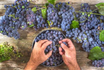 Close-up of man holding grapes