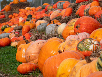 Full frame shot of pumpkins in market