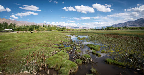 Panoramic view of landscape against sky