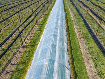 High angle view of agricultural field