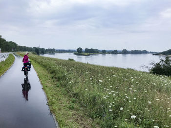 Rear view of man riding bicycle on wet road by lake during rainy season