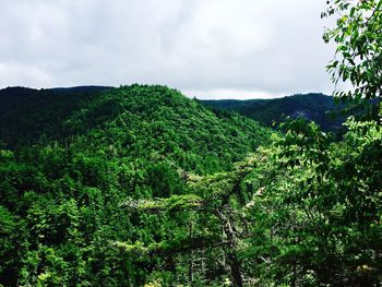 Scenic view of green landscape against cloudy sky