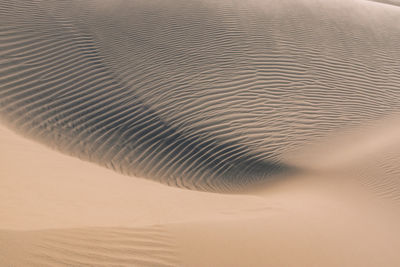 Close-up of sand dunes at beach