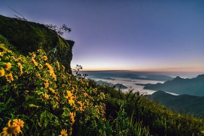 Scenic view of sea against sky during sunset