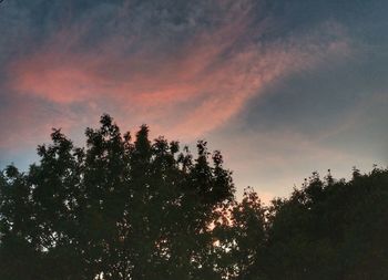 Low angle view of silhouette tree against sky at sunset