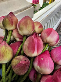 Close-up of pink flowers for sale in market