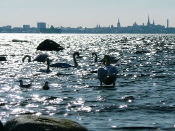 View of river in city