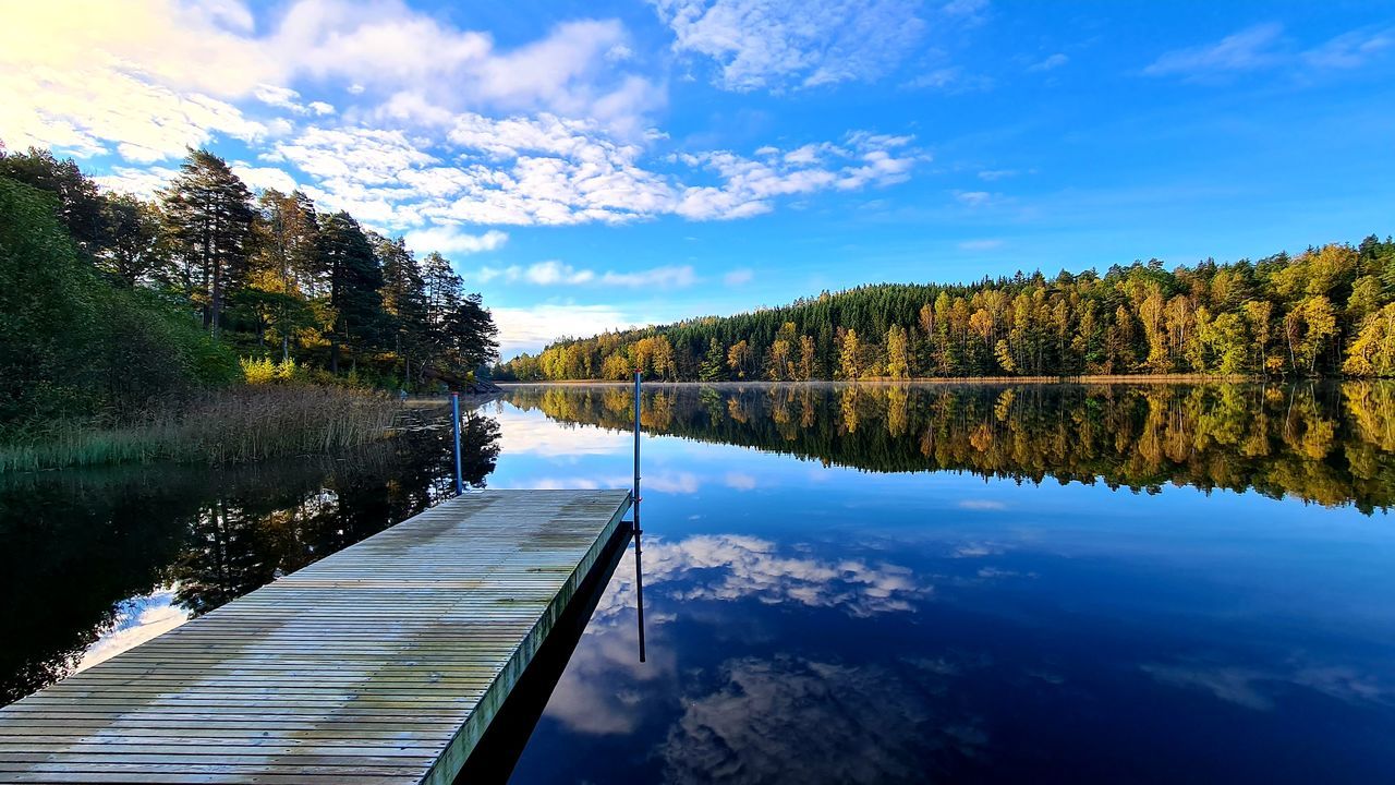 Nature Sweden 🇸🇪