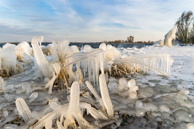 Icicles at the shore of a lake