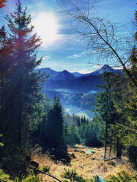 Scenic view of trees by mountains against sky