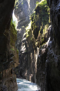 Scenic view of waterfall