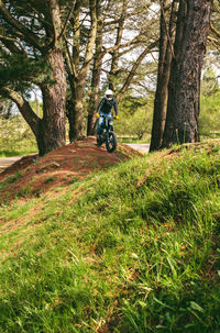 Man riding motorcycle on road amidst trees