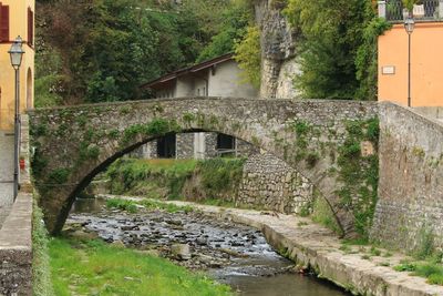 Arch bridge over river amidst trees