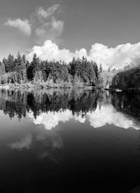 Reflection of trees in lake against sky