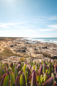 Scenic view of sea against sky