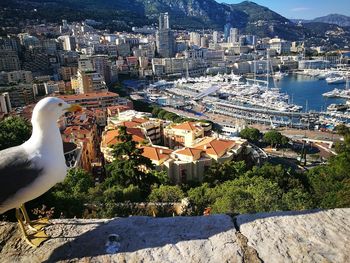 High angle view of buildings in city