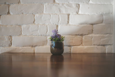 Close-up of potted plant on wall