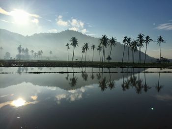 Reflection of palm trees on lake against sky