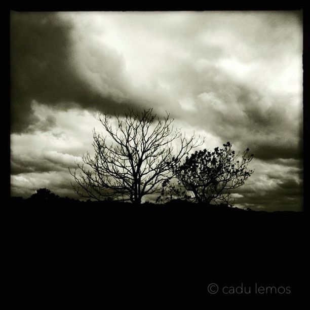 bare tree, silhouette, sky, transfer print, tree, cloud - sky, tranquility, tranquil scene, cloudy, auto post production filter, scenics, beauty in nature, landscape, nature, low angle view, cloud, dusk, branch, overcast, sunset