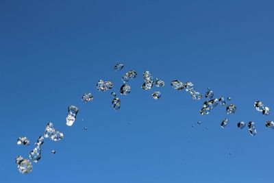 Low angle view of birds flying against clear blue sky