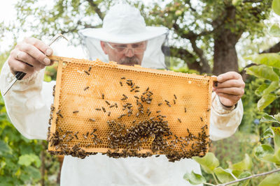 Bee keeper working in parking