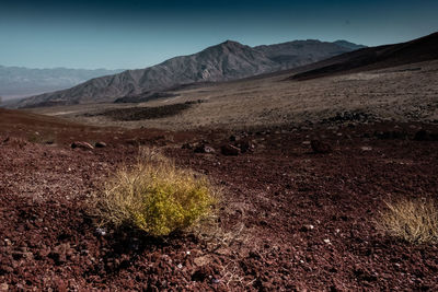 Scenic view of arid landscape against clear sky