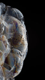 Close-up of drink against black background